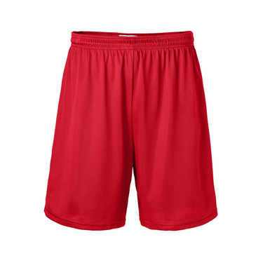 Nylon Mesh Short