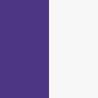 soffe womens team shorty short, 081V, purple/white