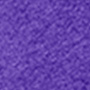 Curves Authentic Soffe Short, M037C, team purple heather