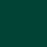 Soffe Adult Long Sleeve Tee, M375, dk green